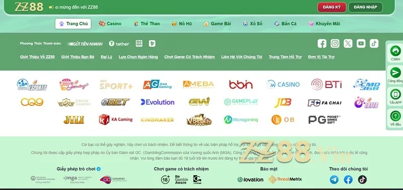 chứng nhận zz88 vin